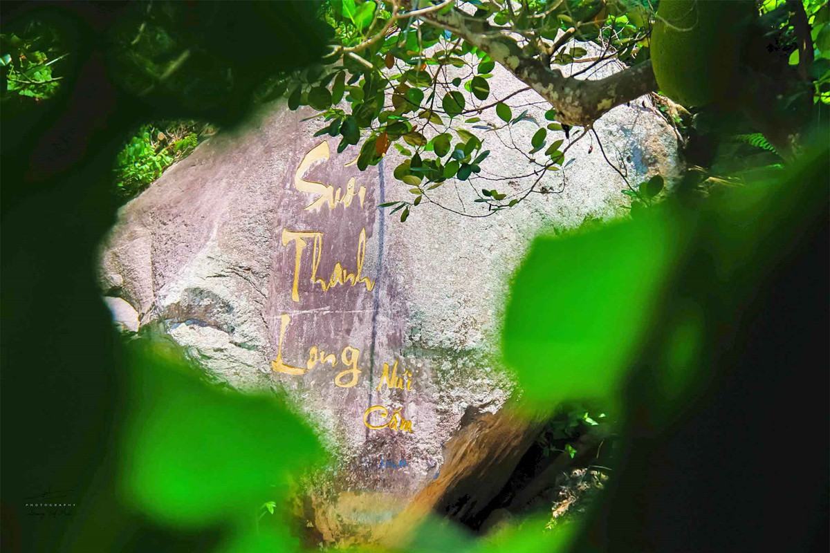 Xung quanh suối Thanh Long là một khu rừng xanh tươi với nhiều loại cây cổ thụ, tạo nên một khung cảnh hữu tình và hoang sơ. Ảnh: Dương Việt Anh