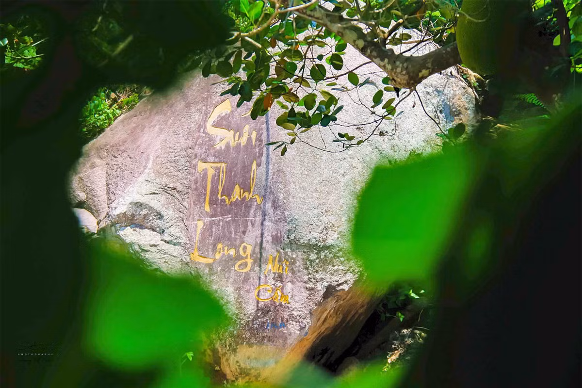 Xung quanh suối Thanh Long là một khu rừng xanh tươi với nhiều loại cây cổ thụ, tạo nên một khung cảnh hữu tình và hoang sơ. Ảnh: Dương Việt Anh