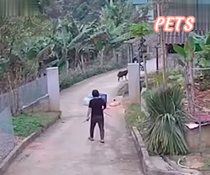 Video: Shipper bo cua chay lay nguoi khi 