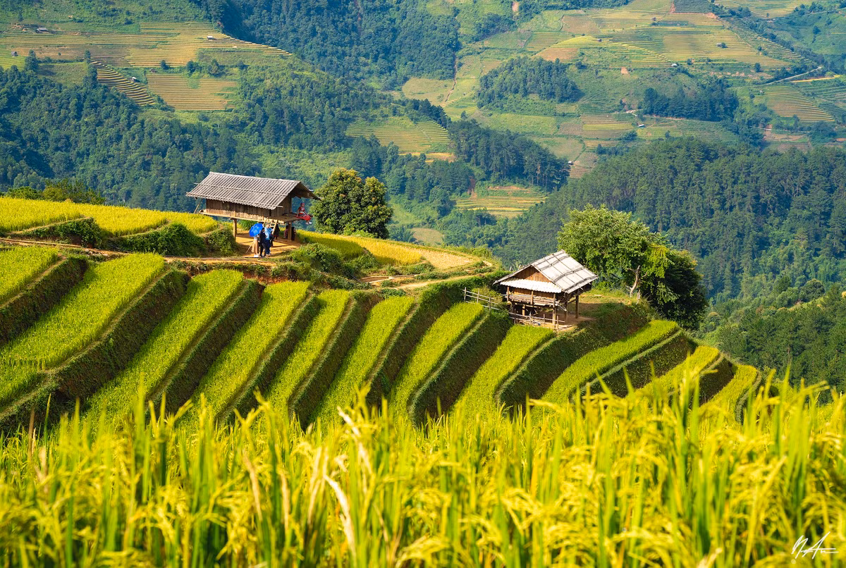 Mù Cang Chải đẹp như tranh vẽ (Ảnh: Tuấn Anh).