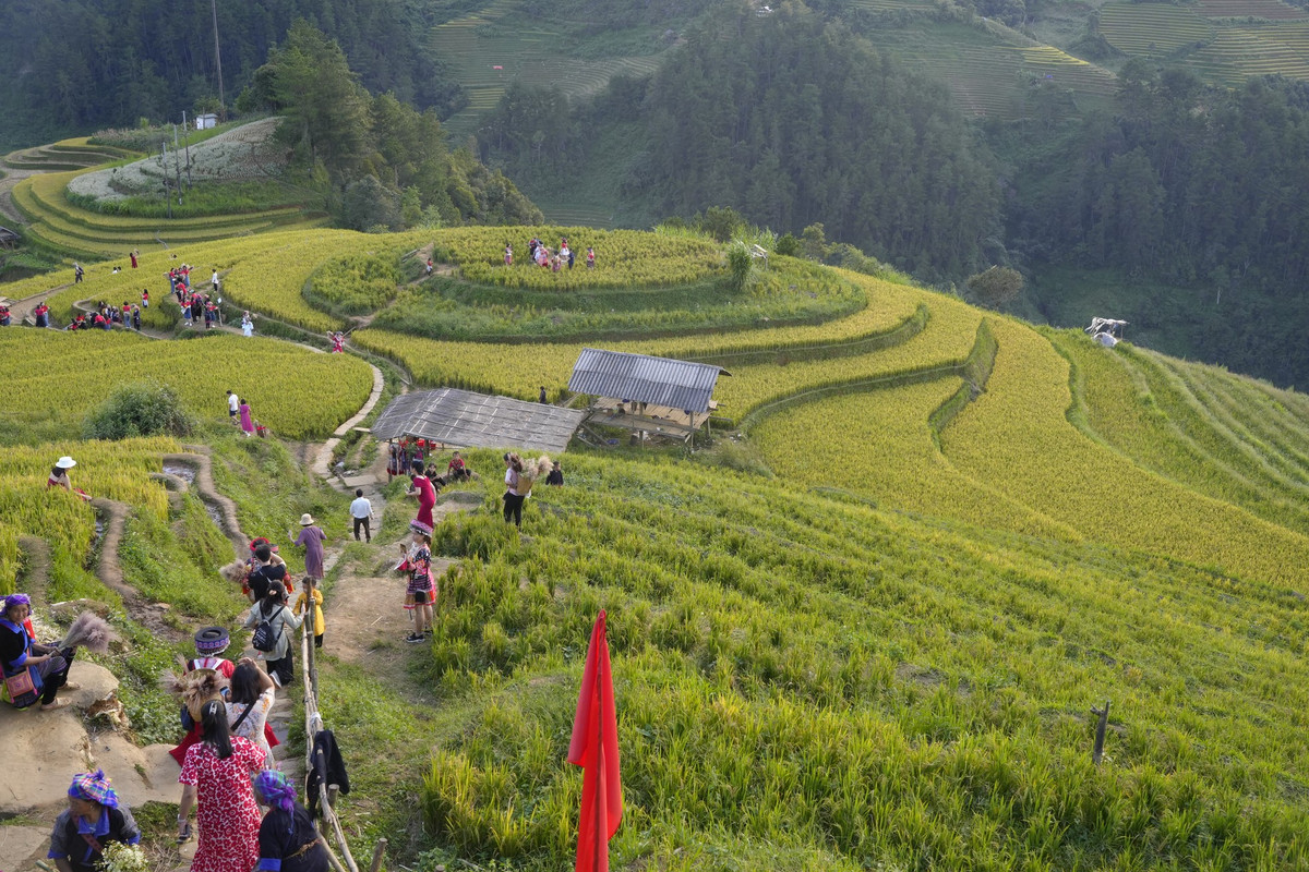 Du khách nườm nượp kéo về Mù Cang Chải (Ảnh: Tuấn Anh)