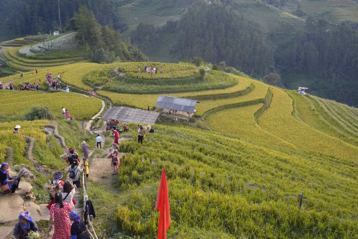 Du khách nườm nượp kéo về Mù Cang Chải (Ảnh: Tuấn Anh)