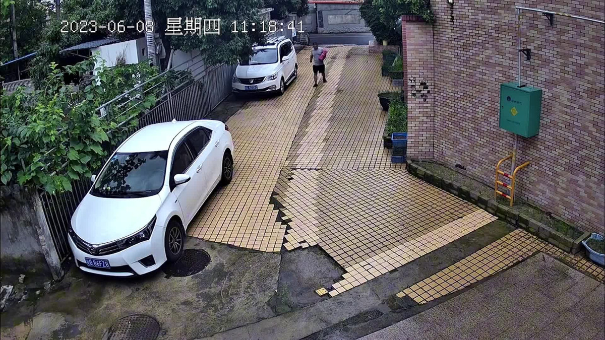 Video: Ran ho mang phi than dop nguoi di bo va cai ket