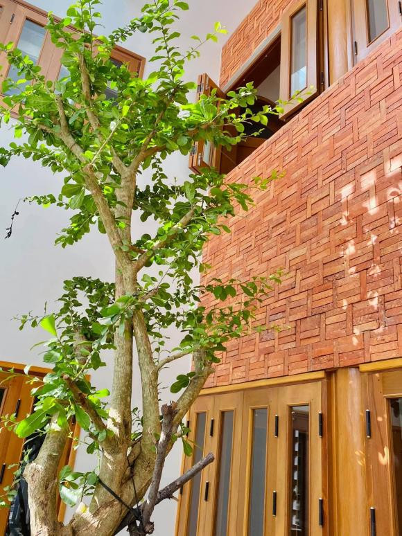 Trong và ngoài nhà, trồng nhiều cây xanh. Tường nhà được ốp những mảng gạch bông gió có tác dụng lấy gió và sáng. Đồng thời, ngôi nhà có hẳn 3 giếng trời, giúp điều hòa khí hậu hiệu quả.