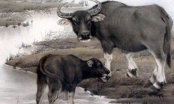 Ba thang toi, quy nhan se xuat hien, ba con giap kiem bon tien-Hinh-2