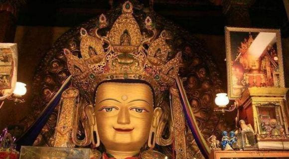 Vi su loi lac canh bao: Khong duoc lam hai 4 con vat 