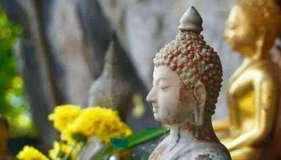 Vi su loi lac canh bao: Khong duoc lam hai 4 con vat 