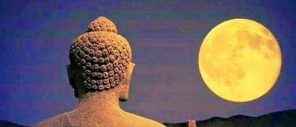 Vi su loi lac canh bao: Khong duoc lam hai 4 con vat 