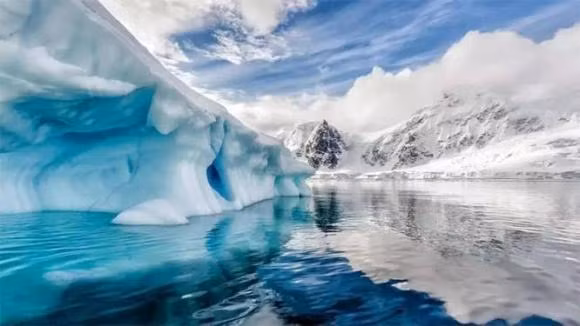 Ben duoi lop bang Nam Cuc co gi?-Hinh-4