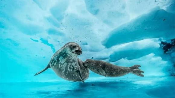 Ben duoi lop bang Nam Cuc co gi?-Hinh-3