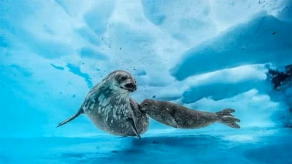 Ben duoi lop bang Nam Cuc co gi?-Hinh-3