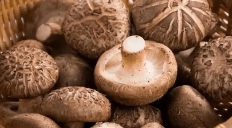 Bất ngờ loại rau "vua miễn dịch", giàu dinh dưỡng hơn thịt bò Bat ngo loai rau