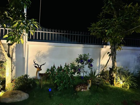 Vườn bên ngoài biệt thự trồng nhiều cây xanh.