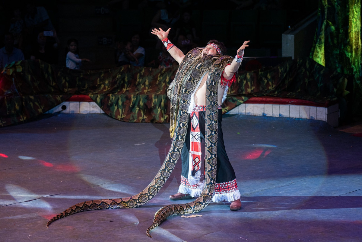 "Ông vua xiếc Việt" kể chuyện ăn ngủ cùng trăn khổng lồ ảnh 1 "Ông vua xiếc Việt" kể chuyện ăn ngủ cùng trăn khổng lồ ảnh 1