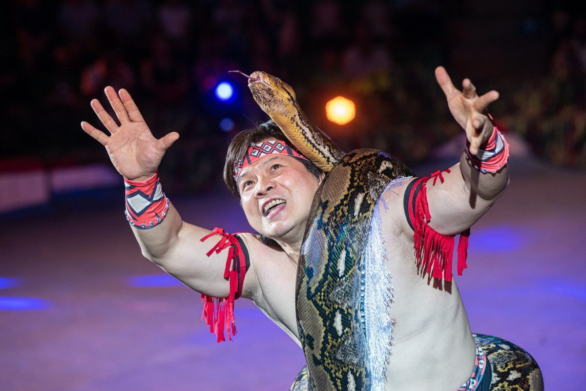 "Ông vua xiếc Việt" kể chuyện ăn ngủ cùng trăn khổng lồ ảnh 5 "Ông vua xiếc Việt" kể chuyện ăn ngủ cùng trăn khổng lồ ảnh 5