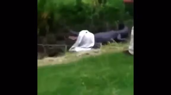 Video: Tay khong bat ca sau, nguoi dan ong nhan cai ket kinh hoang