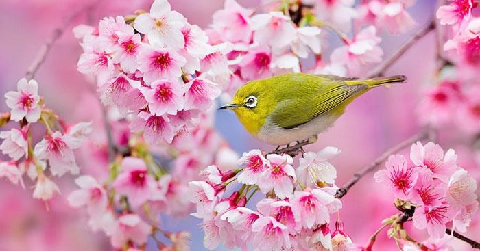 Tiet Lap Xuan 2023 va nhung dieu kieng ky it nguoi biet-Hinh-2