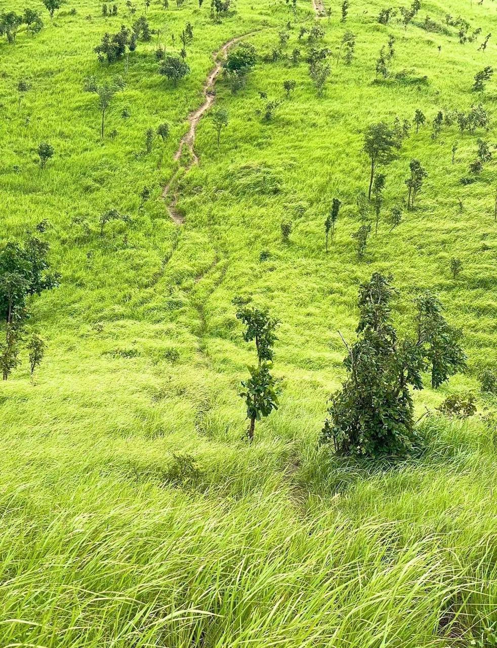 Du lịch thảo nguyên Pal Sol bất cứ mùa nào trong năm, bạn cũng sẽ đều được tận hưởng một dáng vẻ quyến rũ riêng. Tuy nhiên, nếu như muốn tận hưởng khung cảnh thảo nguyên xanh mướt trải rộng ngút tầm mắt thì nên đi từ khoảng tháng 6 đến tháng 11, đây là thời điểm cỏ ở thảo nguyên xanh mướt. Nếu đi vào khoảng cuối tháng 12 đến tháng 3 thì cỏ ở thảo nguyên sẽ chuyển sang màu vàng cháy.