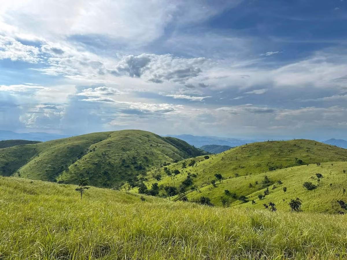 Bên cạnh đồng cỏ xanh mướt mắt là những dãy núi nhấp nhô ở phía xa càng tô điểm cho bức tranh phong cảnh hữu tình này. Khung cảnh khiến bạn liên tưởng đến những thảo nguyên xanh bao la của Mông Cổ vừa hoang sơ, hùng vĩ.