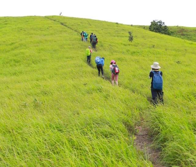 Tuy nhiên, bù lại sau hành trình trekking dài sẽ là khung cảnh trong mơ khiến tâm hồn của bạn như được rộng mở bởi thảo nguyên xanh mướt trong lành lọt thỏm giữa miền đồi núi bao la. Không chỉ vậy khi đến với Pal Sol bạn sẽ được ngắm nhìn những rẫy cà phê trải dài, được trải nghiệm văn hóa cồng chiêng Tây Nguyên cũng như được hòa mình vào đời sống bình yên, giản dị của những người dân nơi đây.
