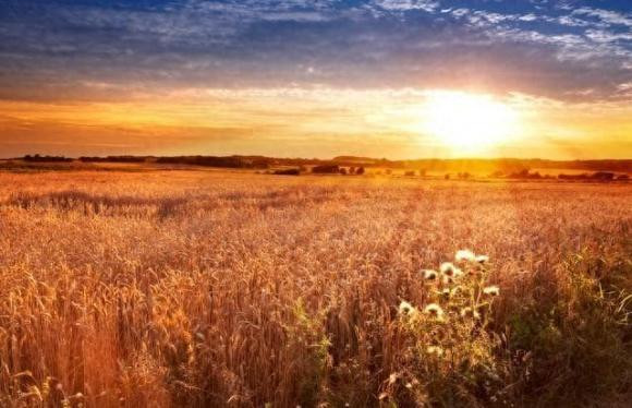 Trac nghiem tam ly: Hay chon canh hoang hon yeu thich cua ban