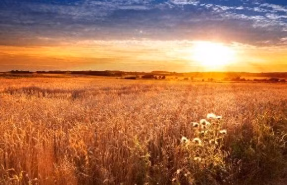 Trac nghiem tam ly: Hay chon canh hoang hon yeu thich cua ban