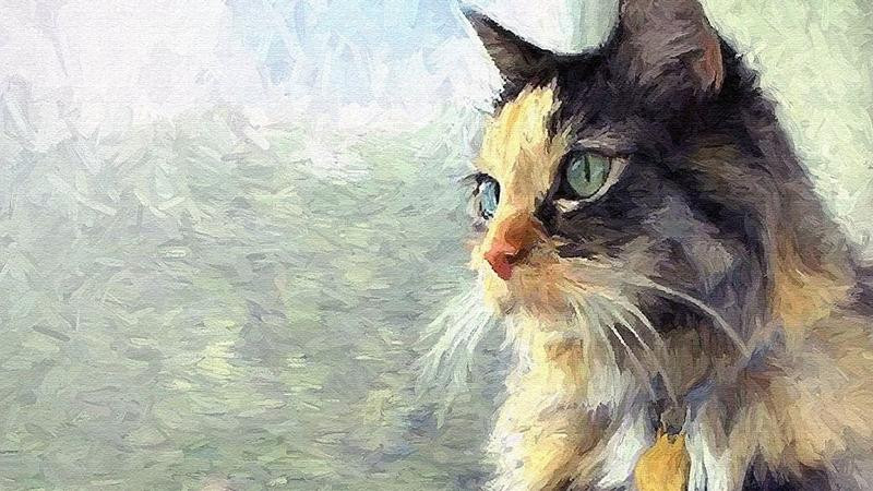 Tài chính của con giáp tuổi Mão tăng dần lên, thu nhập cũng gia tăng đáng kể. Đó là nhờ bản mệnh có những quyết định đầu tư chính xác. Cuộc sống nhờ vậy mà ngày càng thịnh vượng.