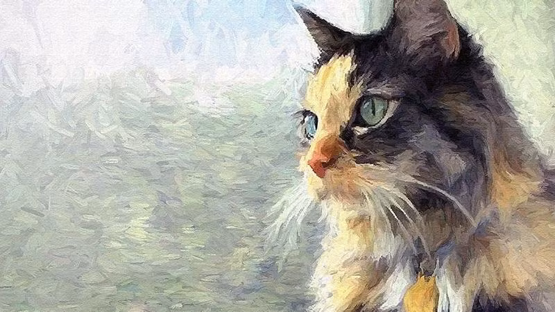 Tài chính của con giáp tuổi Mão tăng dần lên, thu nhập cũng gia tăng đáng kể. Đó là nhờ bản mệnh có những quyết định đầu tư chính xác. Cuộc sống nhờ vậy mà ngày càng thịnh vượng.