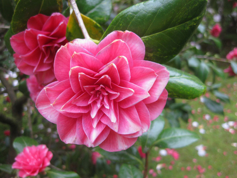 Người sinh vào 3 tháng Âm lịch này quyết đoán, tương lai phát tài - Hình 2 Nguoi sinh vao 3 thang Am lich nay quyet doan, tuong lai phat tai-Hinh-2