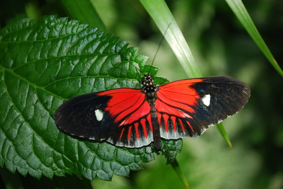 Sinh thang Am lich nay nhan duyen tot dep, phong thai quy nhan-Hinh-4