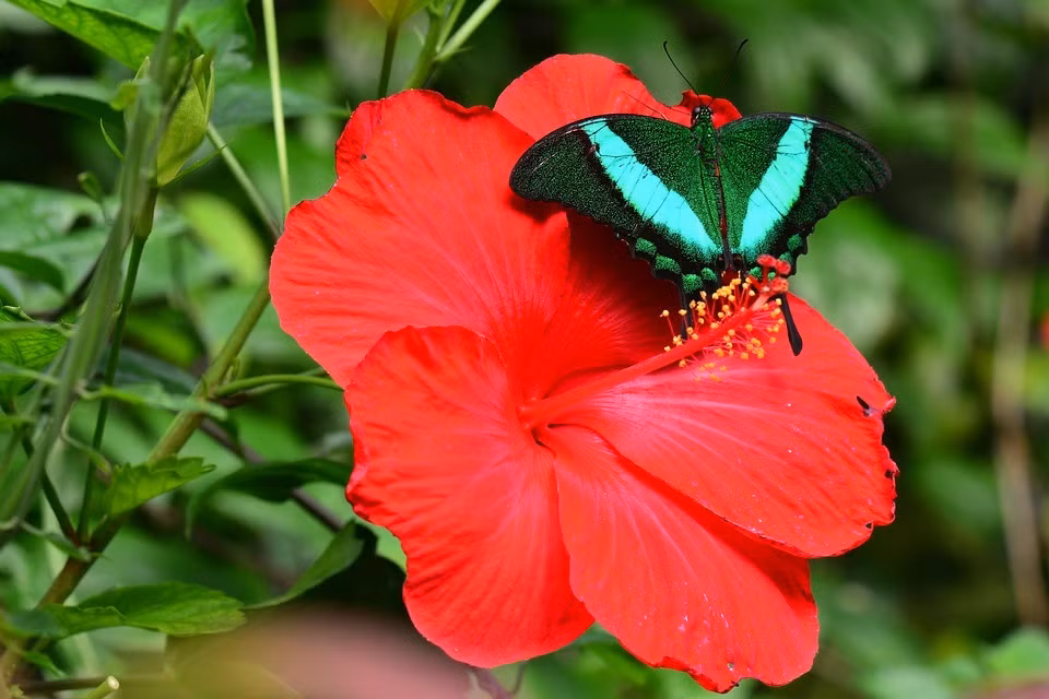 Sinh thang Am lich nay nhan duyen tot dep, phong thai quy nhan-Hinh-3