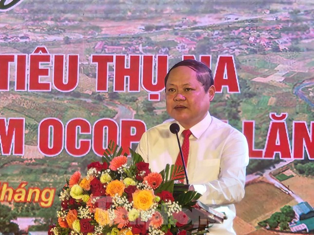 Lang Son: Dau gia hon 200 trieu dong mot qua na