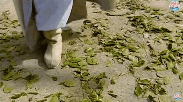 Sai lầm võ công khiến Trương Tam Phong không xứng là thiên hạ đệ nhất Sai lam vo cong khien Truong Tam Phong khong xung la thien ha de nhat