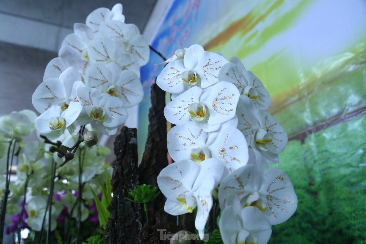 Giá một cành hoa lan dát vàng 18k đang được bán ra với giá khoảng 1 triệu đồng. Khách có thể đặt từng chậu tùy theo số lượng cành, trong đó giá bán sẽ được cộng cả tiền chậu, tiền công trang trí và vận chuyển.