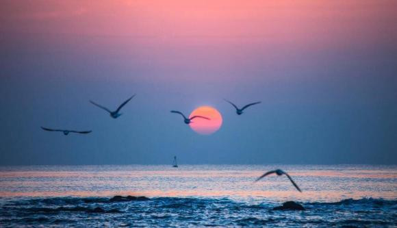 Ba nguoi nay xuat hien trong doi ban la tai hoa, hay tranh xa-Hinh-2