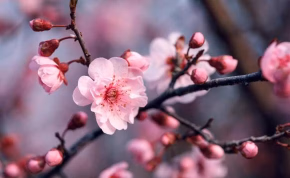 Ba nguoi nay xuat hien trong doi ban la tai hoa, hay tranh xa-Hinh-3