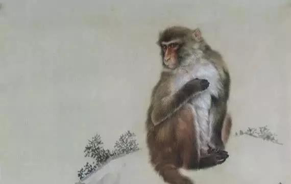 Được đánh giá là con giáp hoạt bát, năng nổ thế nhưng Thân lại thiếu đi sự kiên trì, nhẫn nại nên có những chuyện chưa được giải quyết thì đã bỏ dở giữa chừng.