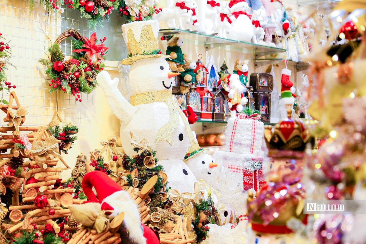 "Về giá thành sản phẩm, các mặt hàng hầu trang trí nhỏ dao động từ 50.000đ/sản phẩm đến 300.000đ/sản phẩm tuỳ kích cỡ, quần áo có giá khoảng từ 150.000đ đến 250.000đ/bộ tuỳ từng loại, cây thông Noel có giá khoảng từ 300.000đ đến tiền triệu tuỳ kích cỡ và cách trang trí của cây", một tiểu thương cho hay.