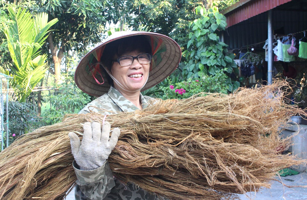 60 ngày lại thu một lứa cây gai xanh, nông dân đút tiền vào túi - Hình 5 60 ngay lai thu mot lua cay gai xanh, nong dan dut tien vao tui-Hinh-5