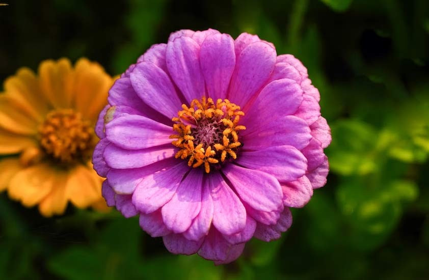 Nguoi sinh ngay Am lich cang gia cang an nhan, sung tuc