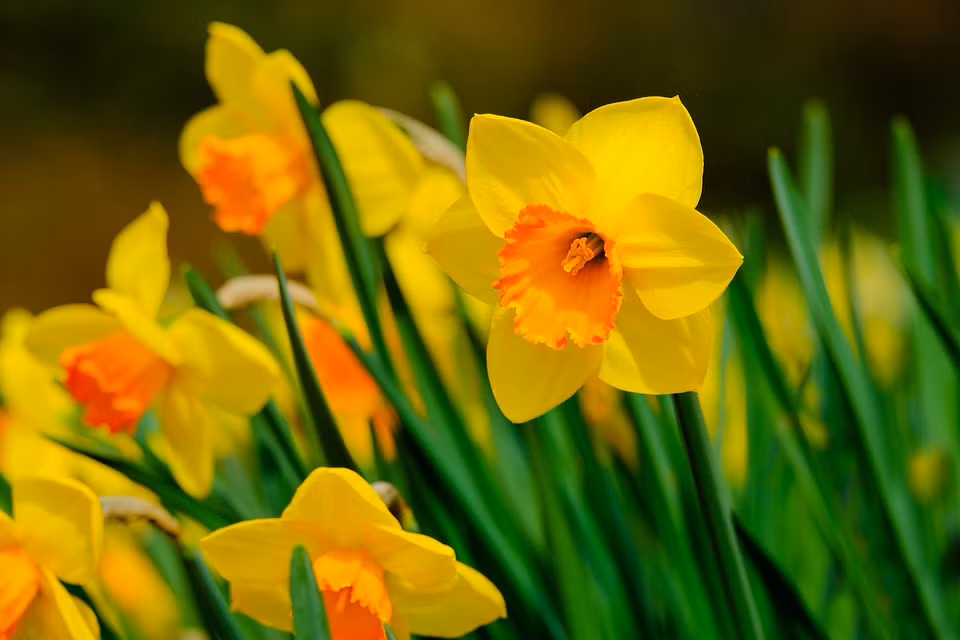 3 con giap don van hoi moi, duyen lanh go cua