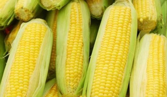 An 6 loai thuc pham nay, benh da day khong dam den cua