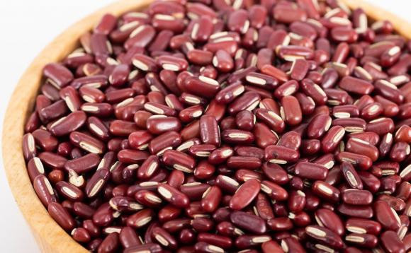 Mua dau do nen chon hat to hay nho? Loai nao giau dinh duong?