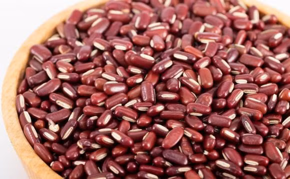 Mua dau do nen chon hat to hay nho? Loai nao giau dinh duong?