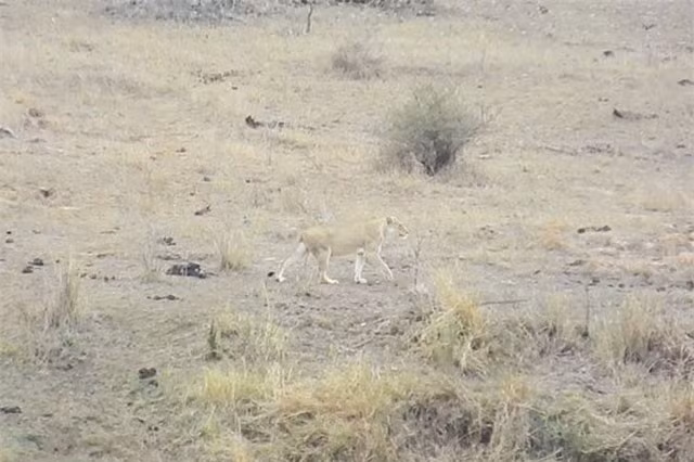 Su tu duc lam hanh dong 