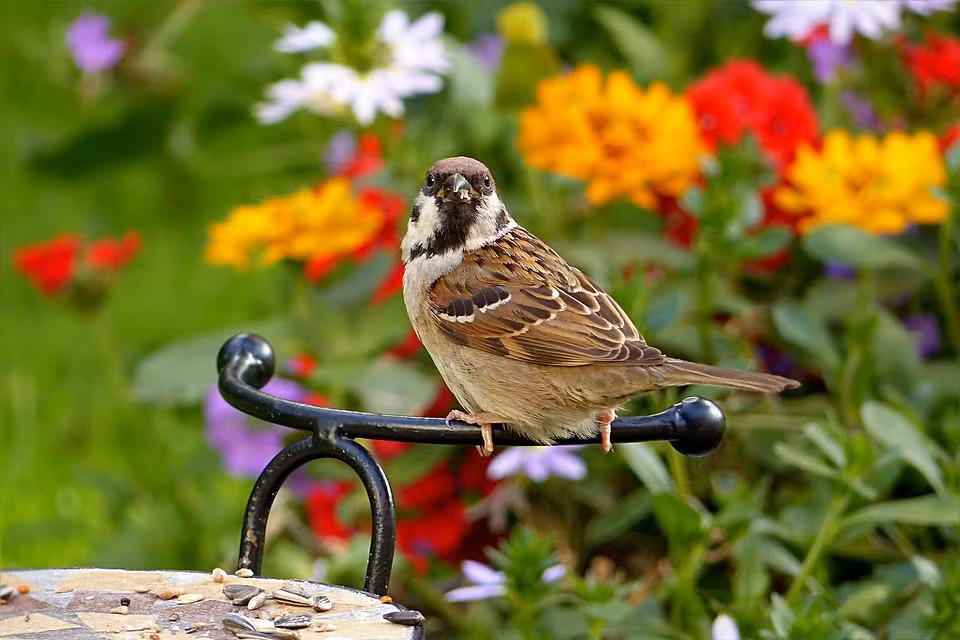 Nguoi sinh ngay Am lich nay kho khan cho nan-Hinh-2