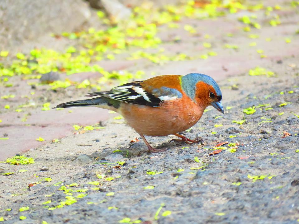 Người sinh ngày Âm lịch này khó khăn chớ nản - Hình 3 Nguoi sinh ngay Am lich nay kho khan cho nan-Hinh-3