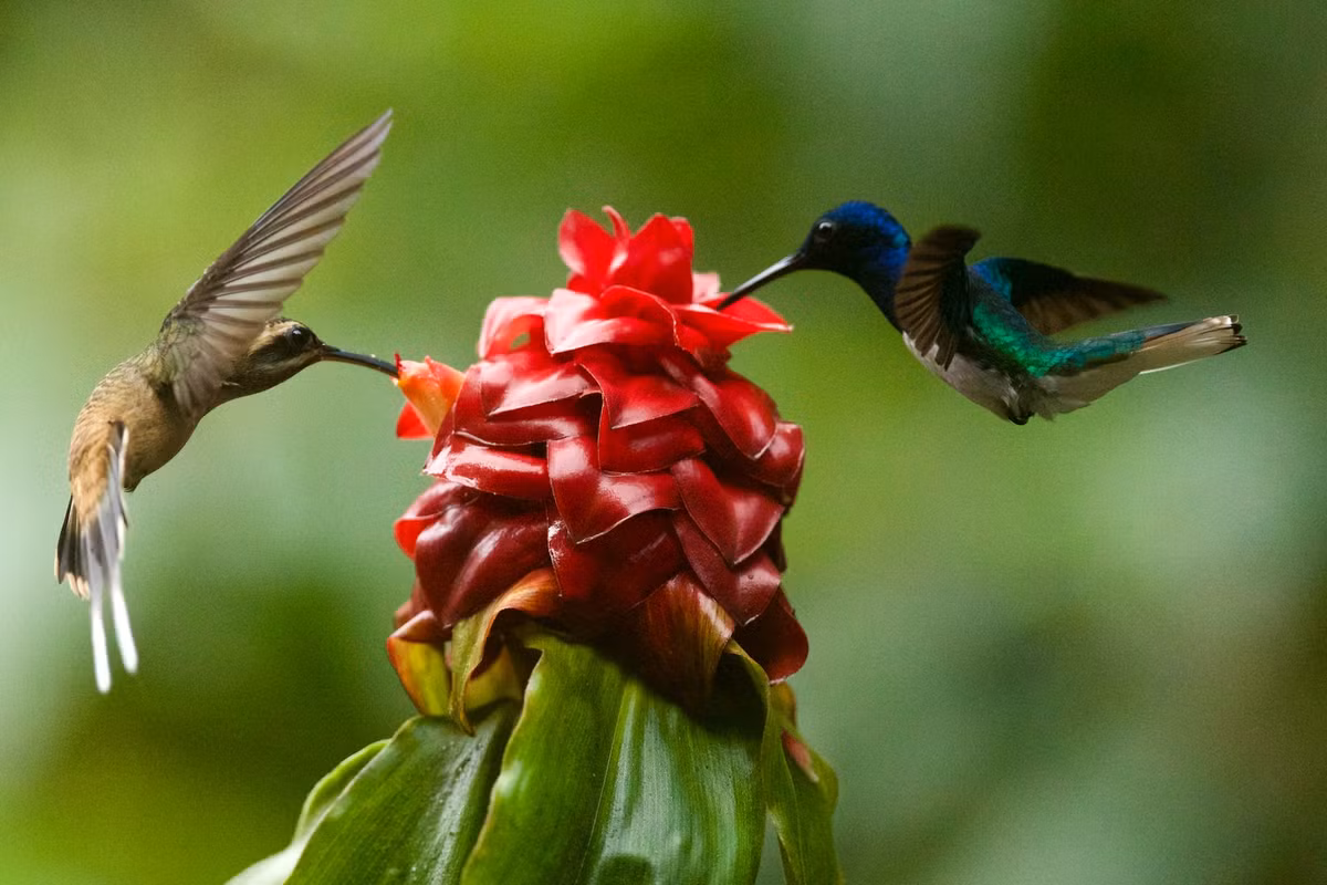 Trong tháng 8 Âm lịch, những con giáp được đề cập đến ngày hôm nay có thể thu hoạch được nhiều lợi nhuận, làm cho mình trở nên giàu có, sống suôn sẻ hơn và đón chào cuộc sống ngày càng viên mãn. Ảnh minh họa Unsplash 