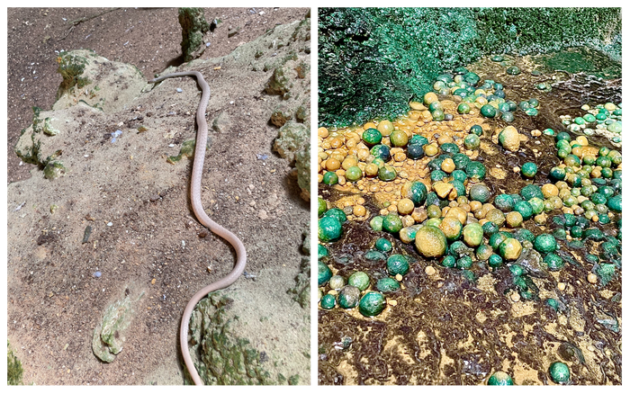 Có gì đang ở dưới đáy "giếng địa ngục" Yemen? - Hình 4 Co gi dang o duoi day