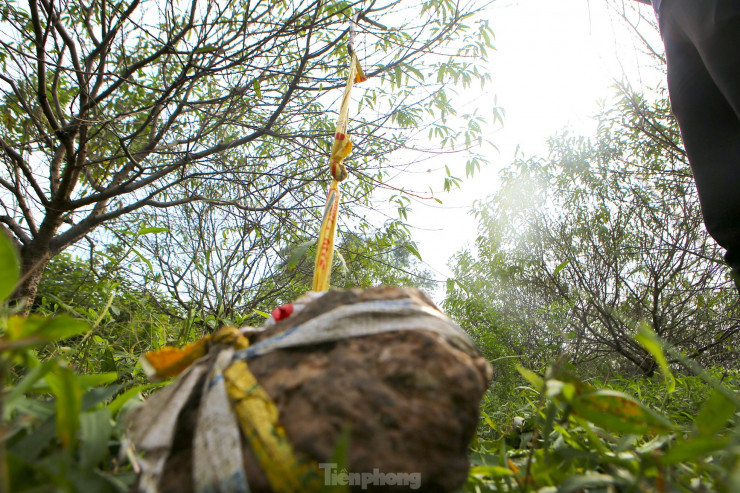 Muc so thi nghe hai ra tien dip Tet-Hinh-9